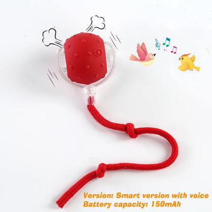 New Dog Interactive Ball Toy,Automatic Rolling Dog Ball Rechargeable,Intelligent Balls Toy for Dogs