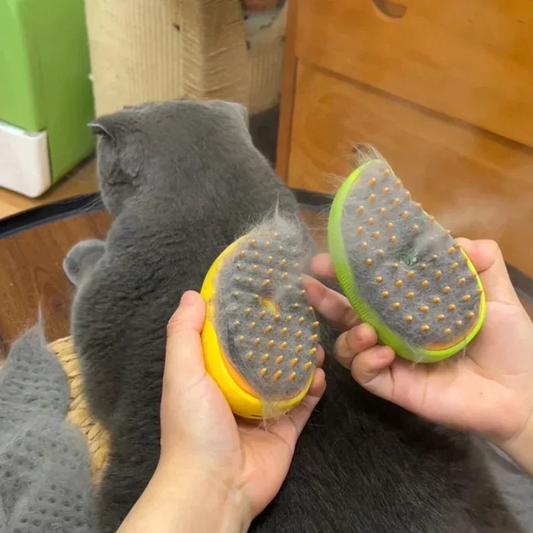 Steam Brush With Electric Sprayer for Massaging Pets, Grooming tool Shedding 3 in 1