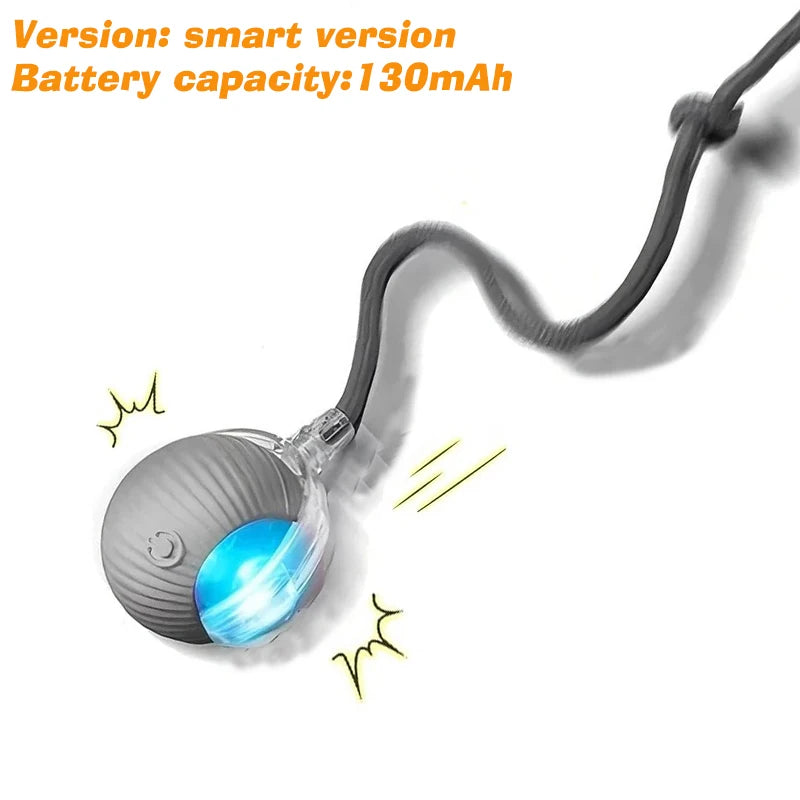 New Dog Interactive Ball Toy,Automatic Rolling Dog Ball Rechargeable,Intelligent Balls Toy for Dogs