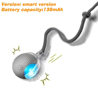 New Dog Interactive Ball Toy,Automatic Rolling Dog Ball Rechargeable,Intelligent Balls Toy for Dogs
