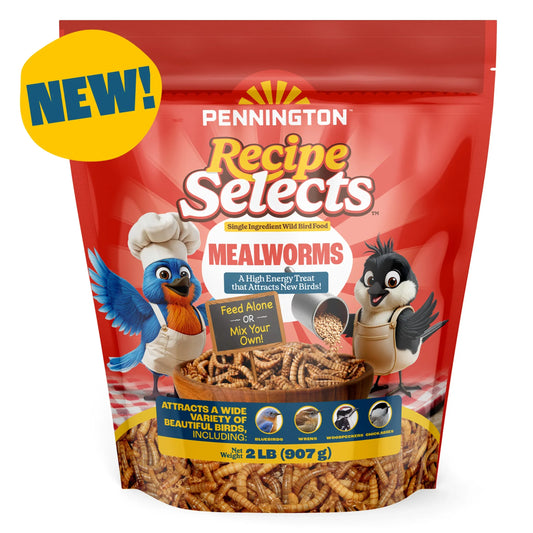 Recipe Selects Dried Mealworms for Birds, Bluebird and Wild Bird Food for Outside Feeder, 2 lb. Bag, 1 Pack