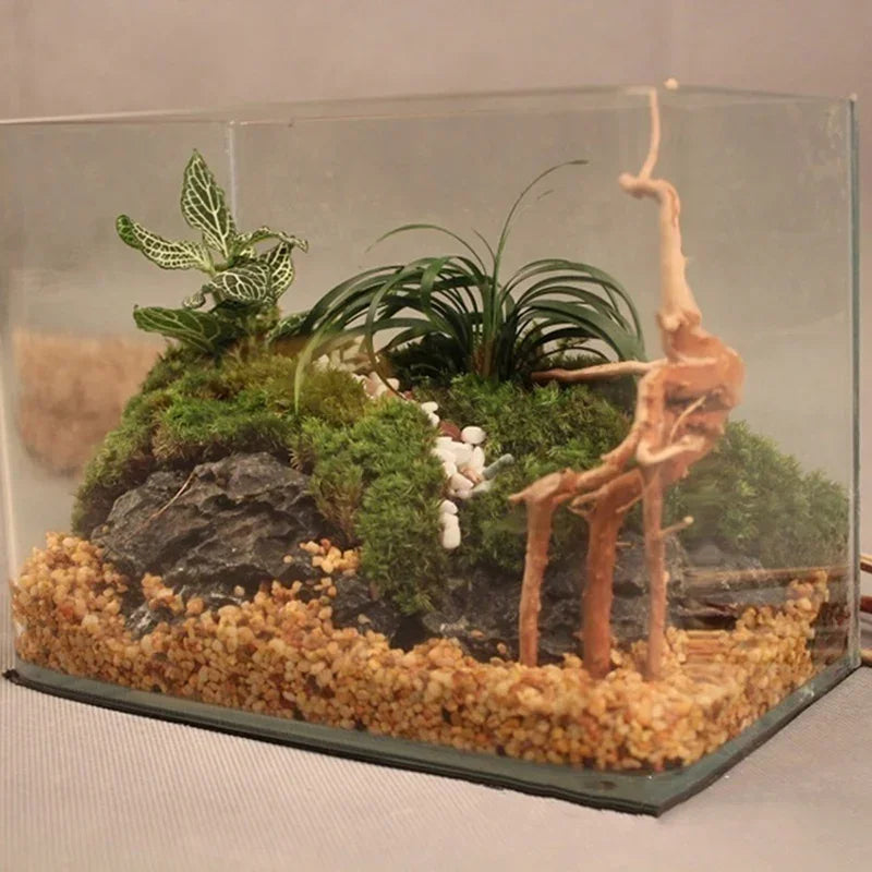 Natural Tree Trunk Driftwood Aquarium, Fish Tank  And Reptile Wood Decoration