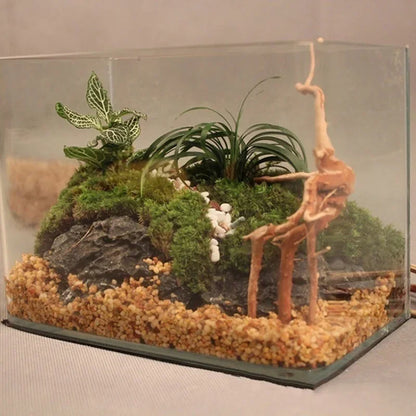 Natural Tree Trunk Driftwood Aquarium, Fish Tank  And Reptile Wood Decoration