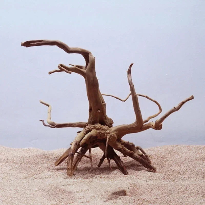 Natural Tree Trunk Driftwood Aquarium, Fish Tank  And Reptile Wood Decoration