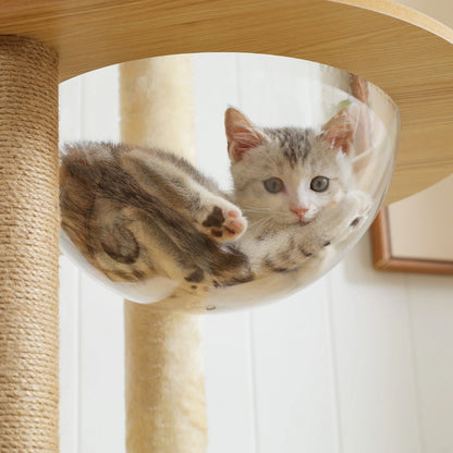 Multi-Level Cat Tree for Indoor with Scratching Posts Spacious Condo Hammock Top Perch Scratcher