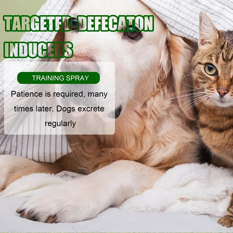 Pet Toilet Training Spray for Potty Positioning