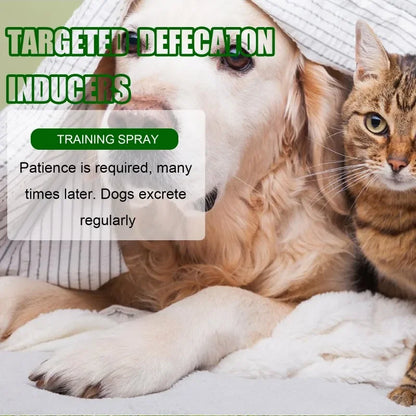 Pet Toilet Training Spray for Potty Positioning