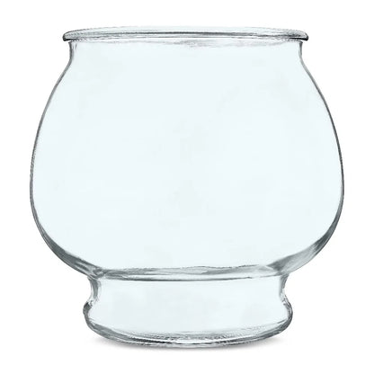 Footed Glass Fishbowl for Betta Fish 1 Gallon Round Goldfish Bowl with Plant for Home Decor