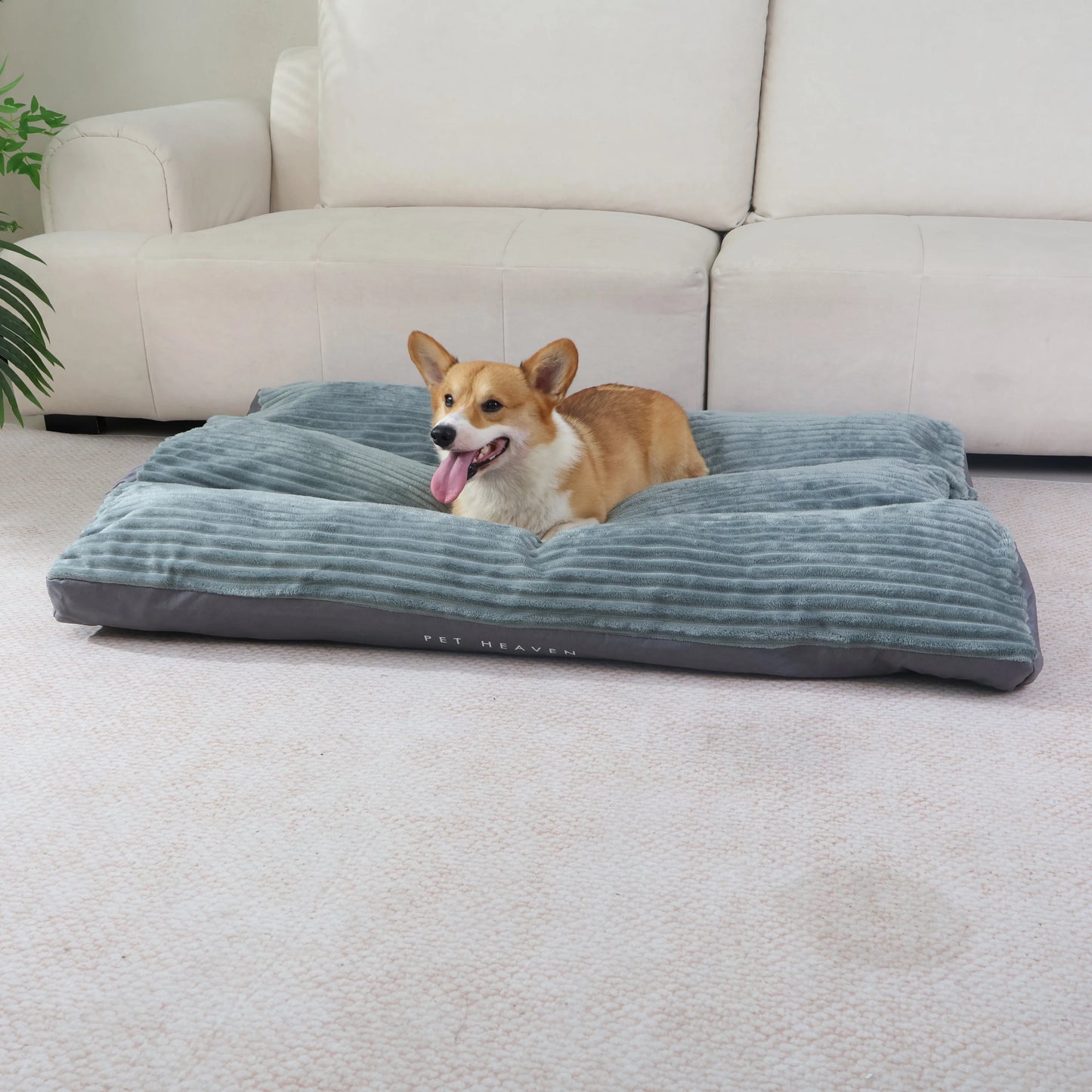 XXL Dog Bed Thickened Deluxe  -Anti-bite, Anti-dirt, Soft and Comfortable, Four-season Use,