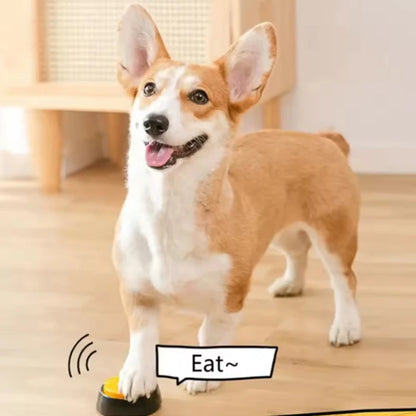 Funny Dog Recordable Pet Toy Pet Speaking Buttons