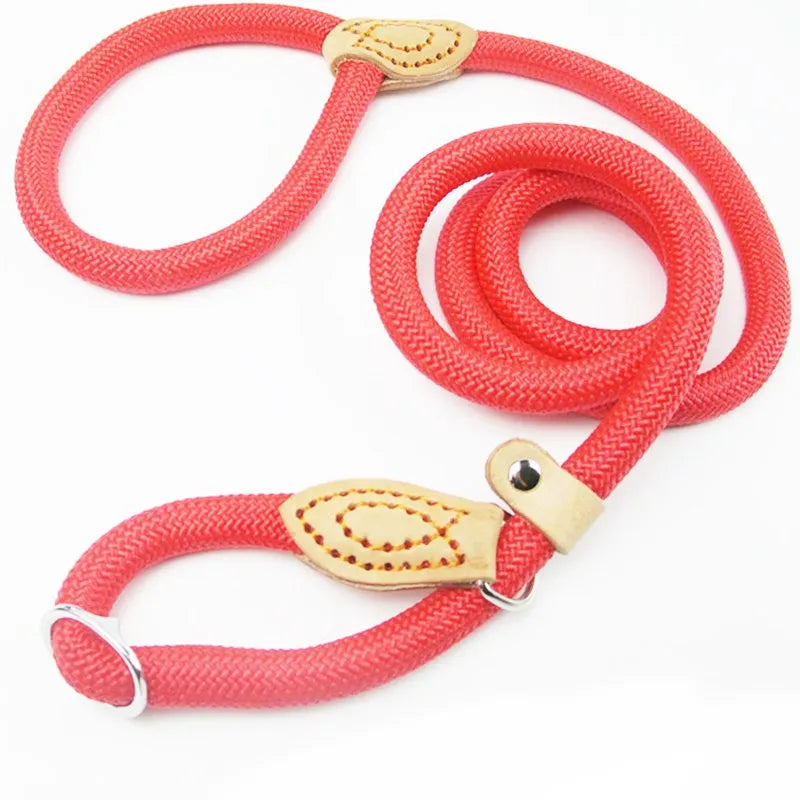 Slip Rope Lead Leash Heavy Duty Braided Rope Adjustable Loop Collar for Medium Large Dogs
