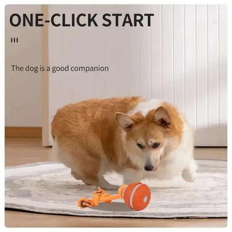 Smart Dog Toys Interactive Teasing Ball With Motion Activation