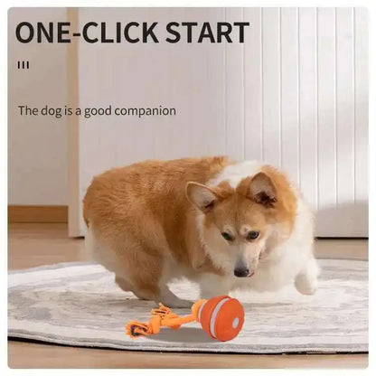 Smart Dog Toys Interactive Teasing Ball With Motion Activation