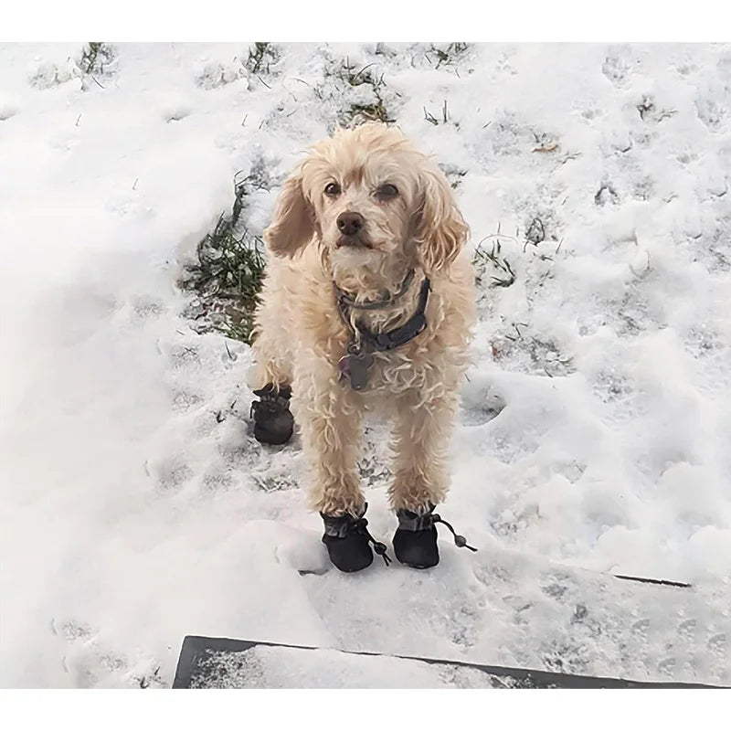 4Pcs Dog Boots Waterproof Non-slip Reflective Strip Adjustable Drawstring Soft Breathable Pet Shoes for Small Medium Dogs Winter