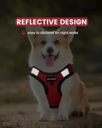 Lightweight Service Dog Vest for Small Dogs with Patch Set