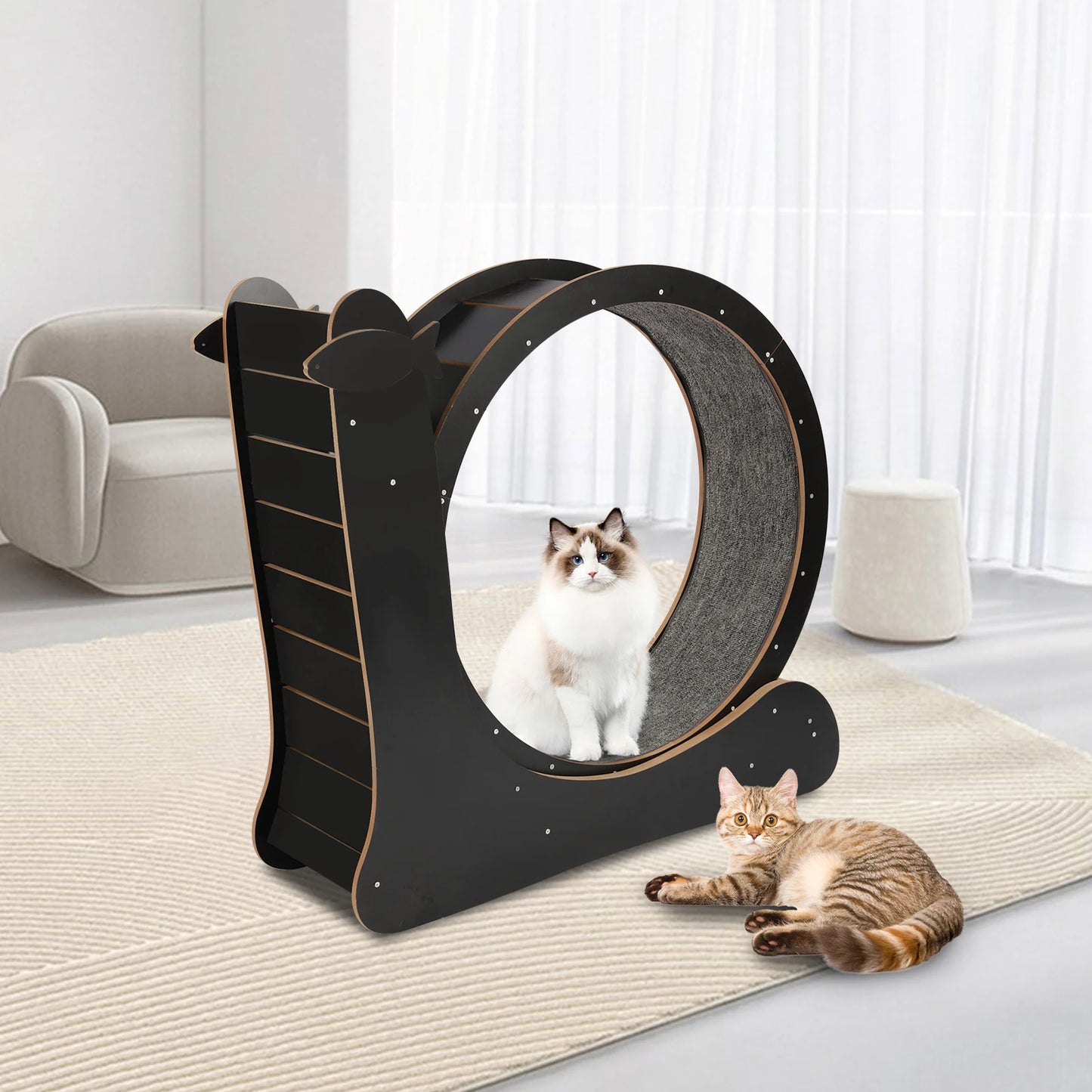 110*34*102cm Cat Exercise Wheel Large Cat Treadmill with Carpeted Runway