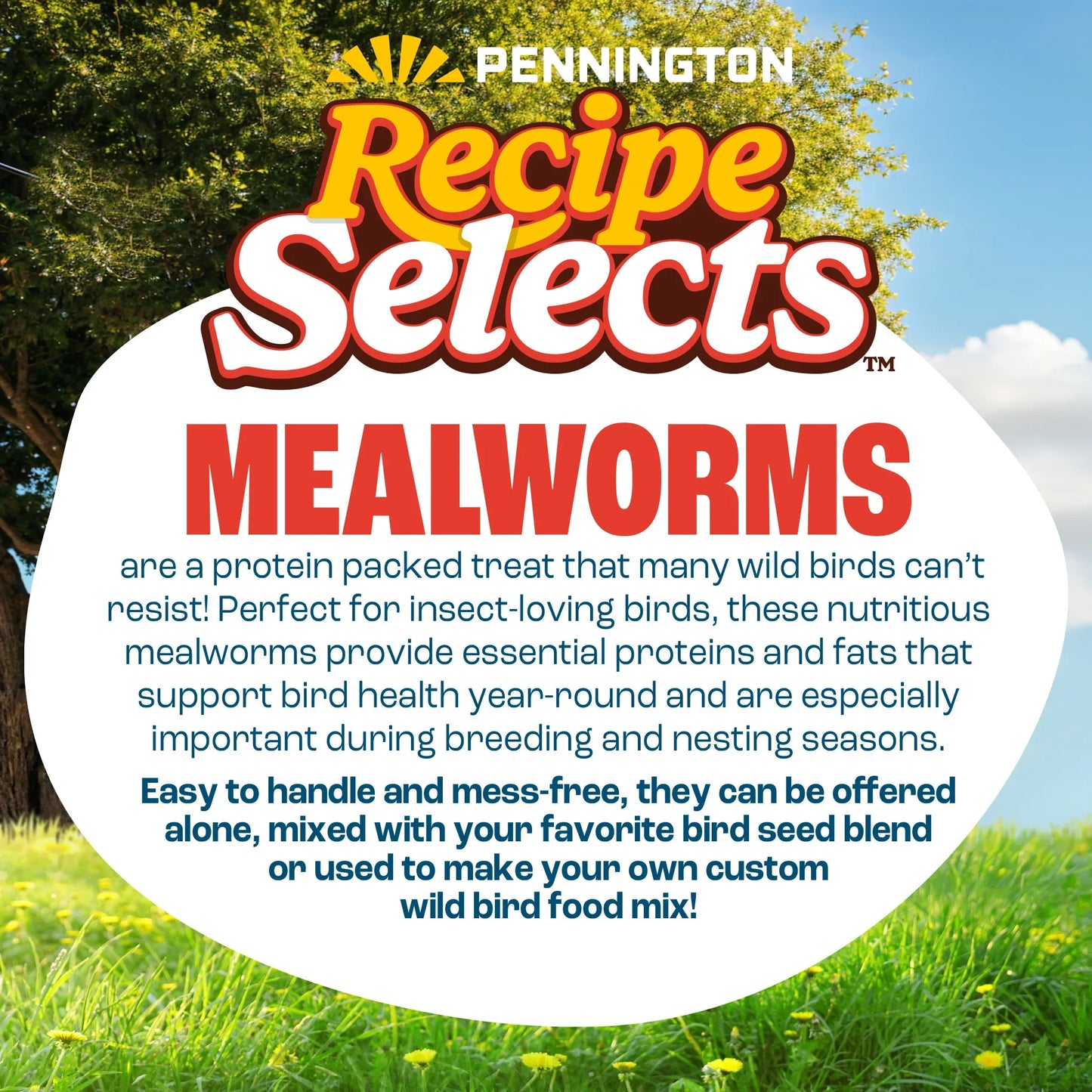 Recipe Selects Dried Mealworms for Birds, Bluebird and Wild Bird Food for Outside Feeder, 2 lb. Bag, 1 Pack
