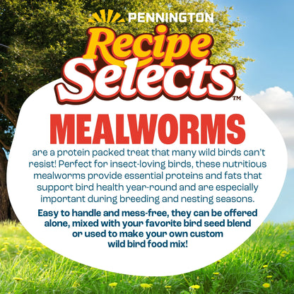 Recipe Selects Dried Mealworms for Birds, Bluebird and Wild Bird Food for Outside Feeder, 2 lb. Bag, 1 Pack