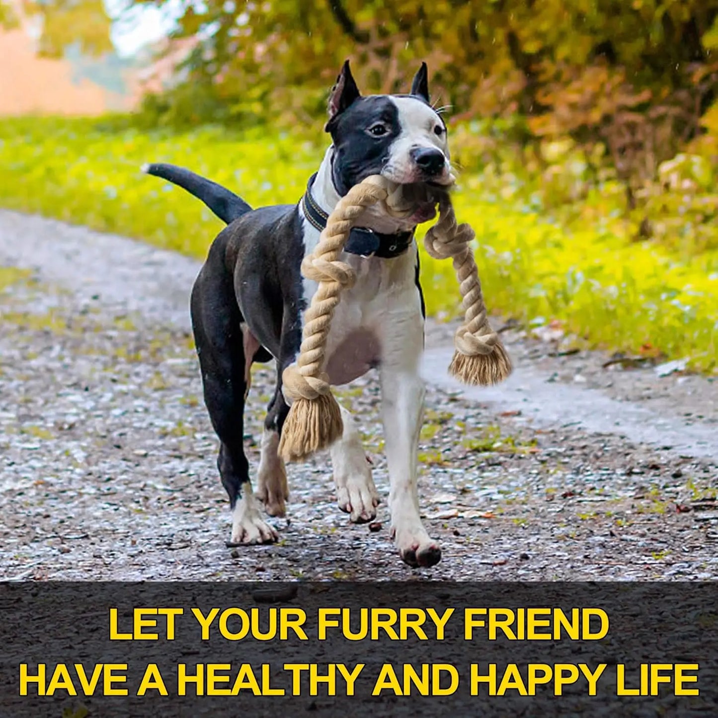 Durable Cotton Dog Rope Toy for Aggressive Chewers, 3 Feet with 5 Knots, Tug of War and Teeth Cleaning