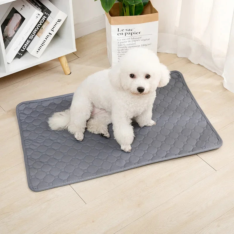 Dog Pee Pad Blanket Reusable Absorbent Washable Training Pad