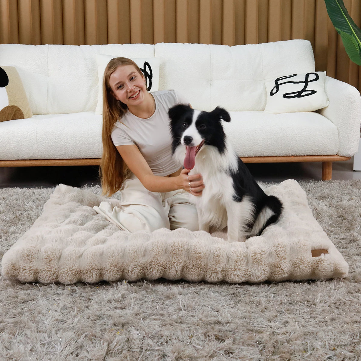 Plush Dog Bed Thicker Foam Base Crate