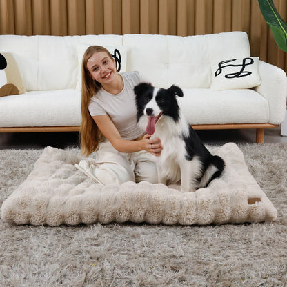 Plush Dog Bed Thicker Foam Base Crate