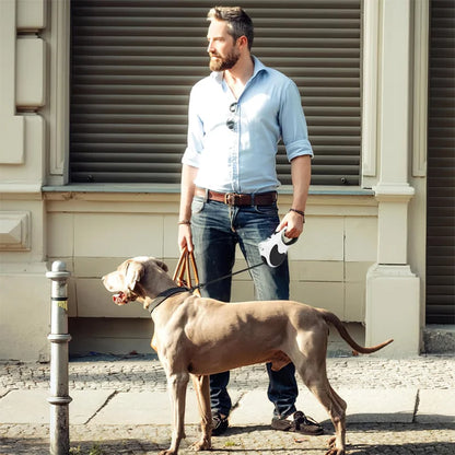 The Pet Leash Comes with a Light, Automatic Retractable, For Dogs and Cats