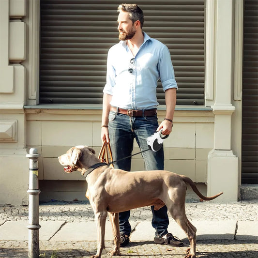 The Pet Leash Comes with a Light, Automatic Retractable, For Dogs and Cats