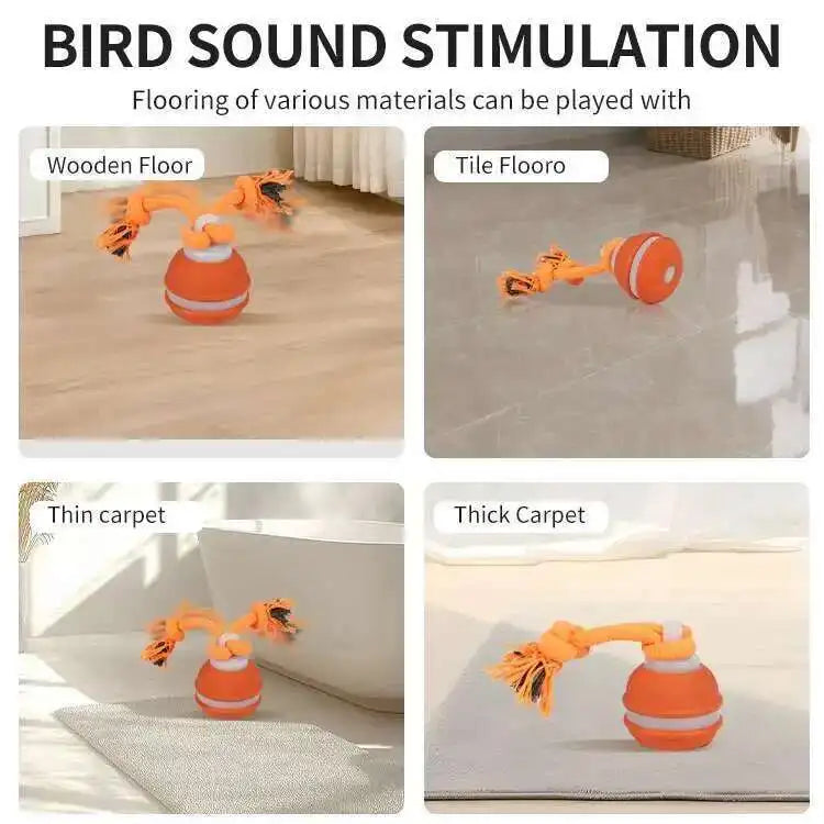 Smart Dog Toys Interactive Teasing Ball With Motion Activation