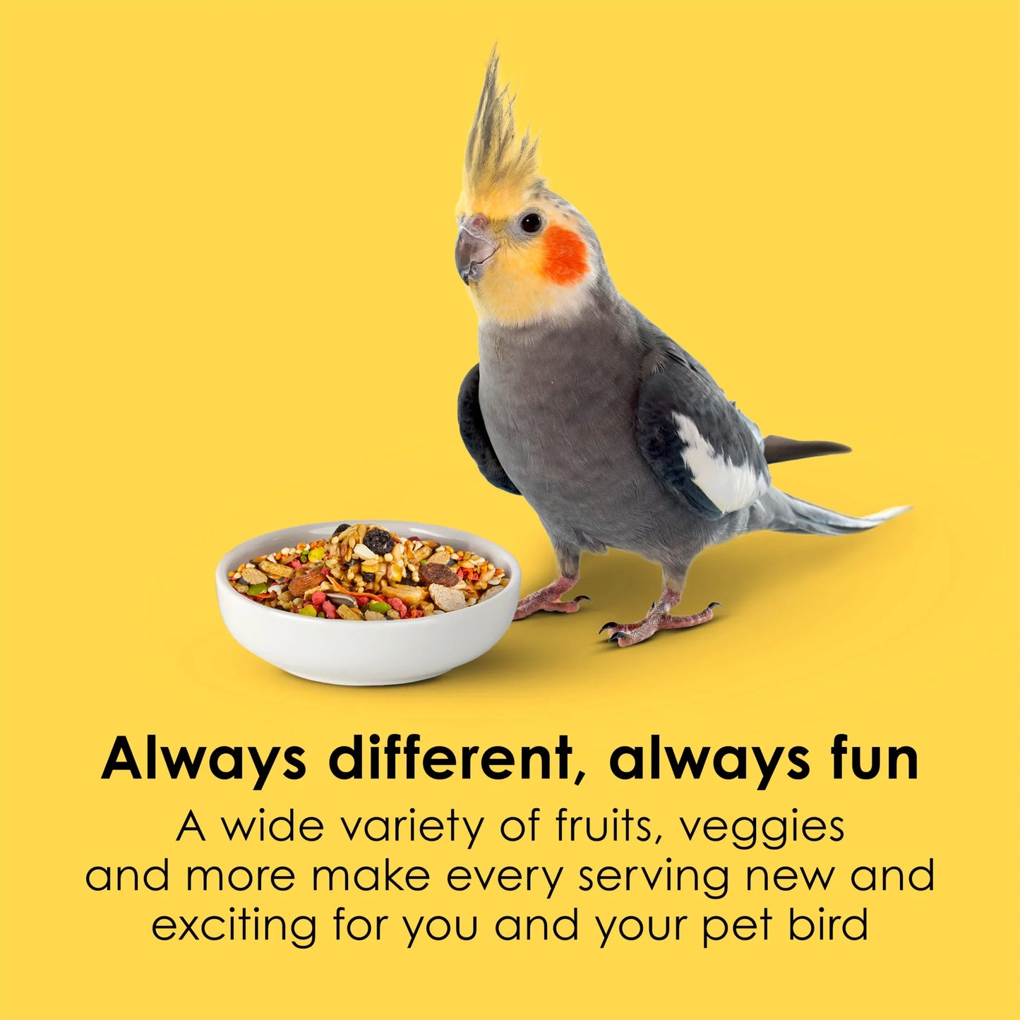 Cockatiel Food 25 Pounds Nutritious Blend for Healthy Birds