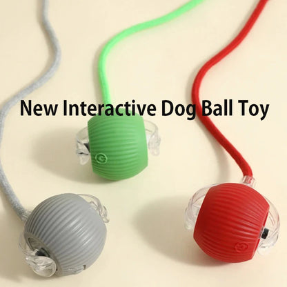 New Dog Interactive Ball Toy,Automatic Rolling Dog Ball Rechargeable,Intelligent Balls Toy for Dogs