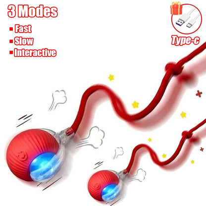 New Cat Interactive Ball  - Automatic Rolling Ball Faux Tail Rechargeable Smart Pet Electric Toy