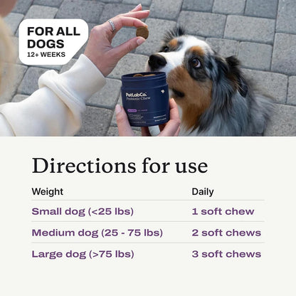 Probiotics Chew for Dogs 12 Weeks+, Support Gut Health, Occasional Diarrhea, Digestive Health & Seasonal Allergies - Beef Flavor