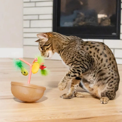 Wobbling Cat Toy Fruit Bowl with 5 Interactive Catnip Toys Indoor Entertainment