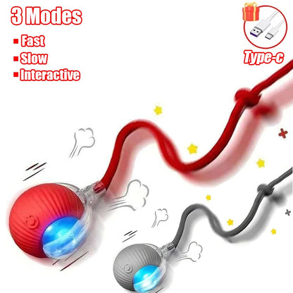 New Cat Interactive Ball  - Automatic Rolling Ball Faux Tail Rechargeable Smart Pet Electric Toy