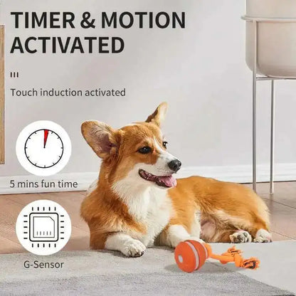Smart Dog Toys Interactive Teasing Ball With Motion Activation