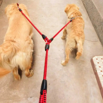 2 Way Couplers Elastic Double Dogs Leash