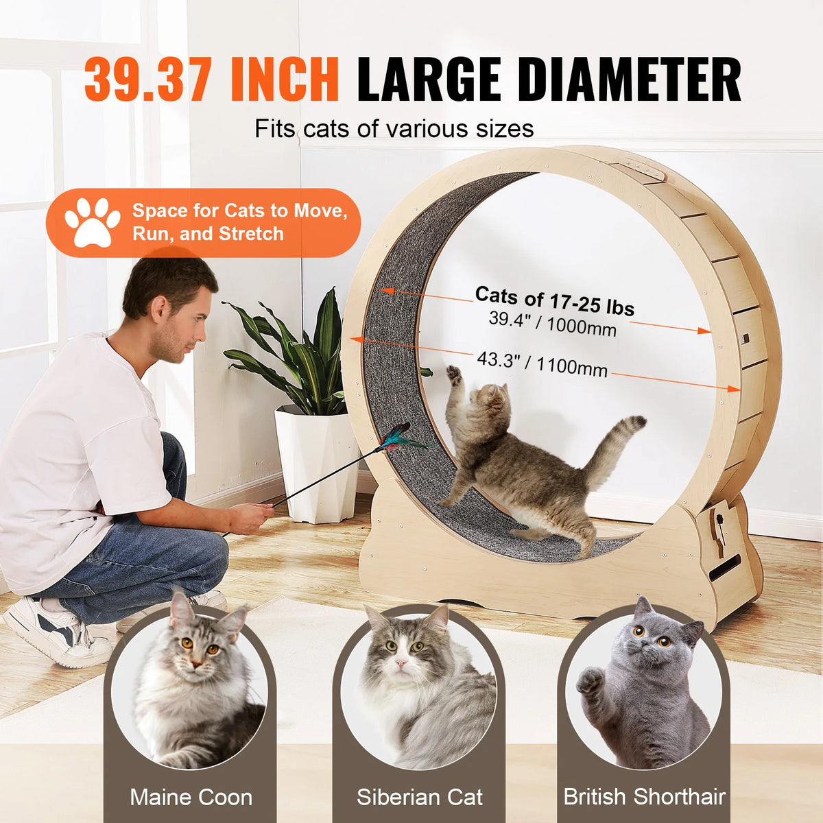 SucceBuy Wooden Cat Exercise Wheel Large Treadmill