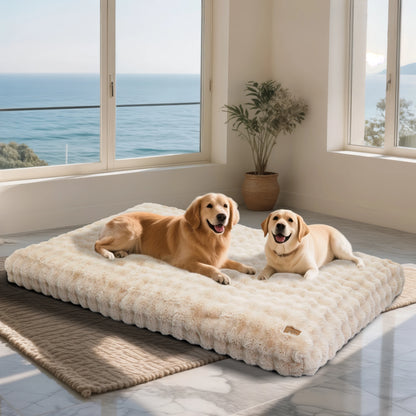 Plush Dog Bed Thicker Foam Base Crate