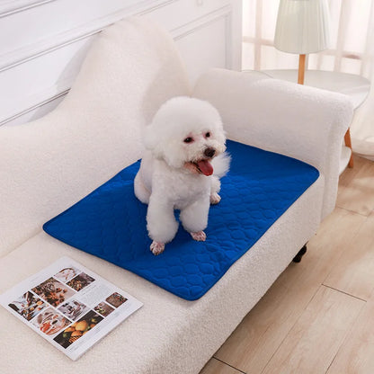 Dog Pee Pad Blanket Reusable Absorbent Washable Training Pad