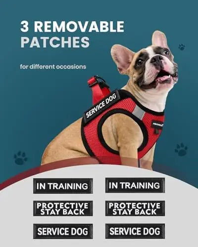 Lightweight Service Dog Vest for Small Dogs with Patch Set