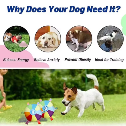 New Dog Interactive Ball Toy,Automatic Rolling Dog Ball Rechargeable,Intelligent Balls Toy for Dogs