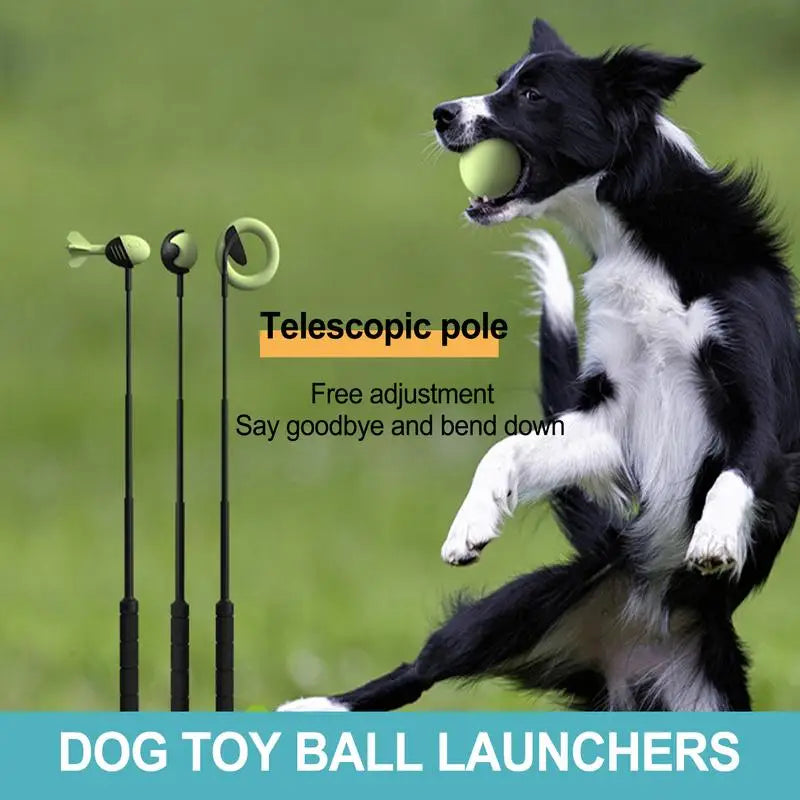 Dog Throwing Pole Tennis Ball  Launcher Training Toy