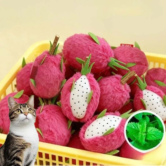 Plush Chew Toy Catnip Interactive Bite-resistant Dragon Fruit Kitten And Cat Toy