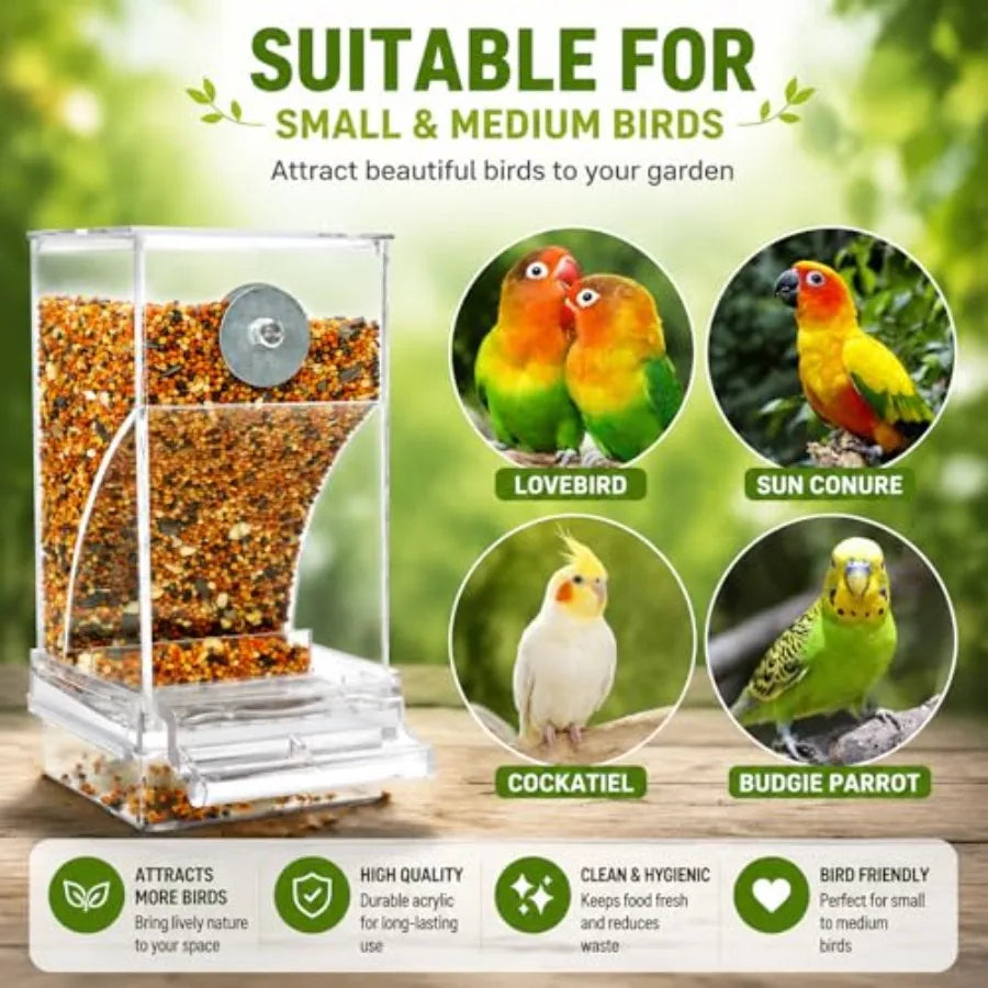 Acrylic Auto Bird Feeder, No Mess Design, Large Capacity, for Budgies Cockatiels Lovebirds,