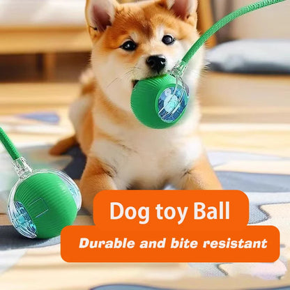 New Dog Interactive Ball Toy,Automatic Rolling Dog Ball Rechargeable,Intelligent Balls Toy for Dogs