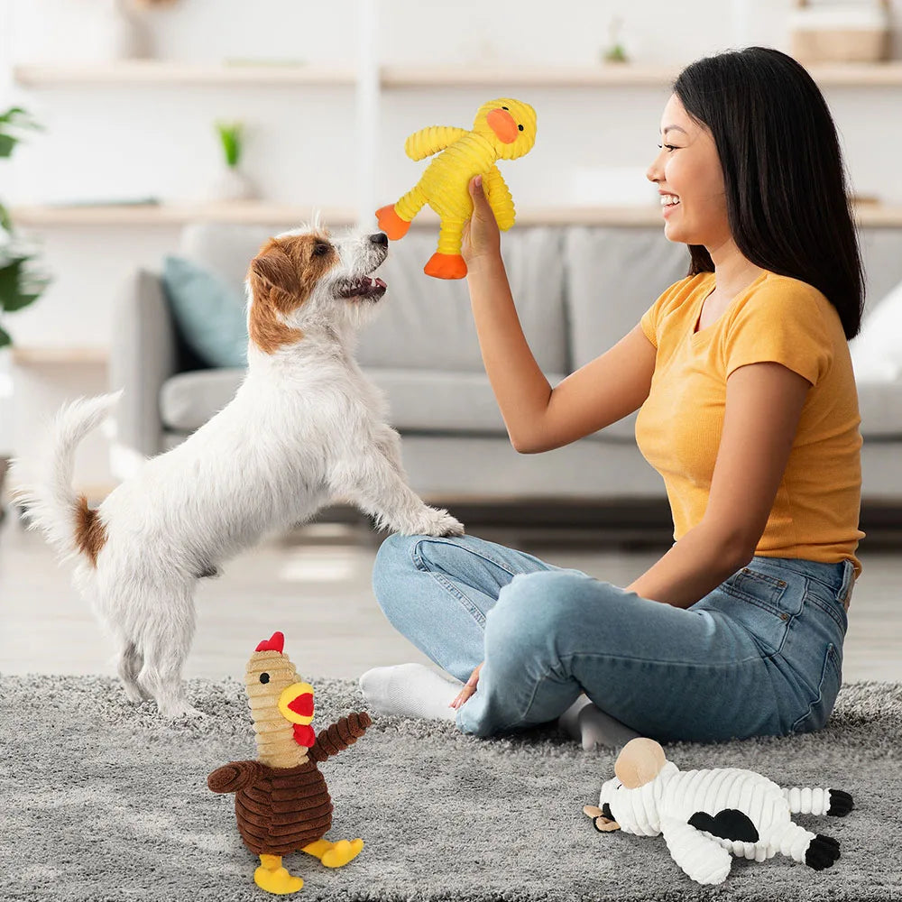 5 Pack Plush Dog Squeaky Toys, Assortment Value Bundle for Small Medium And Large Dogs,