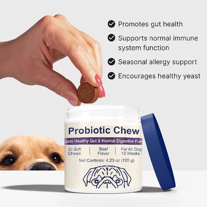 Probiotics Chew for Dogs 12 Weeks+, Support Gut Health, Occasional Diarrhea, Digestive Health & Seasonal Allergies - Beef Flavor