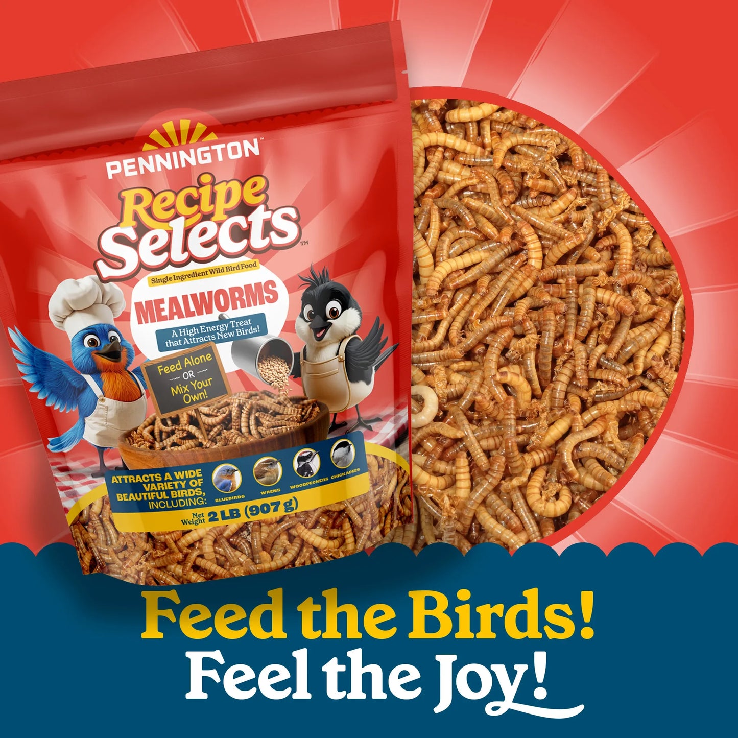 Recipe Selects Dried Mealworms for Birds, Bluebird and Wild Bird Food for Outside Feeder, 2 lb. Bag, 1 Pack