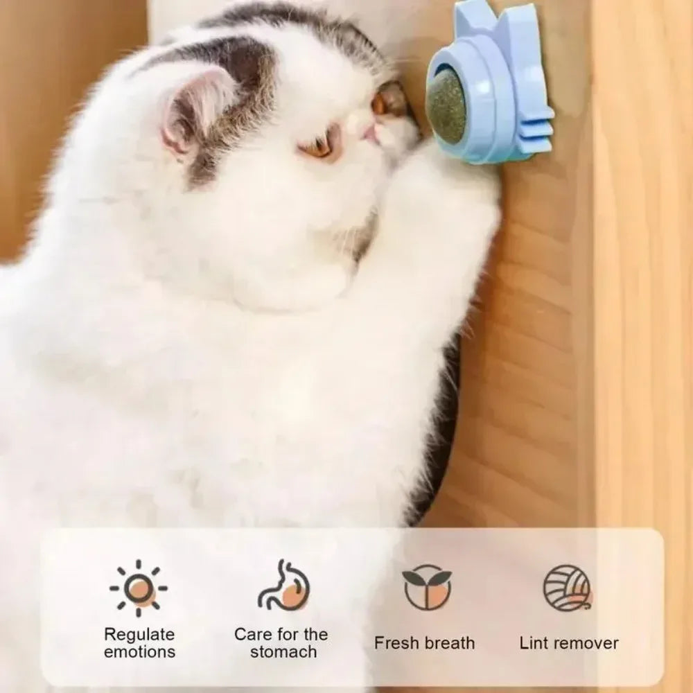Lickable Catnip Ball Toy, Teeth Cleaning Chew Toy with Natural Catnip for Kittens & Cats